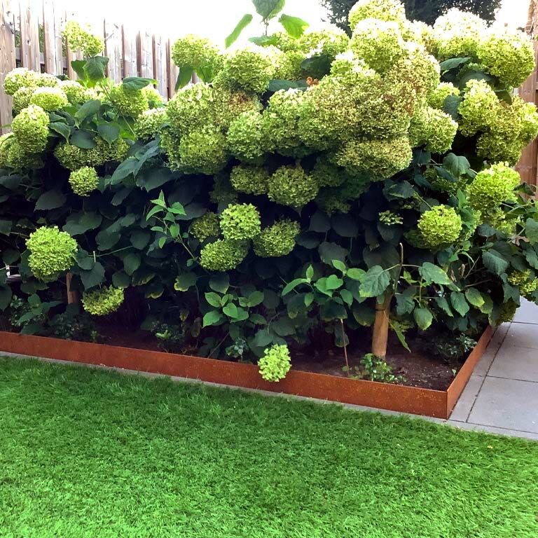 Corten-teräksinen puutarha reunus litteä 13 cm (pituus 150 cm)