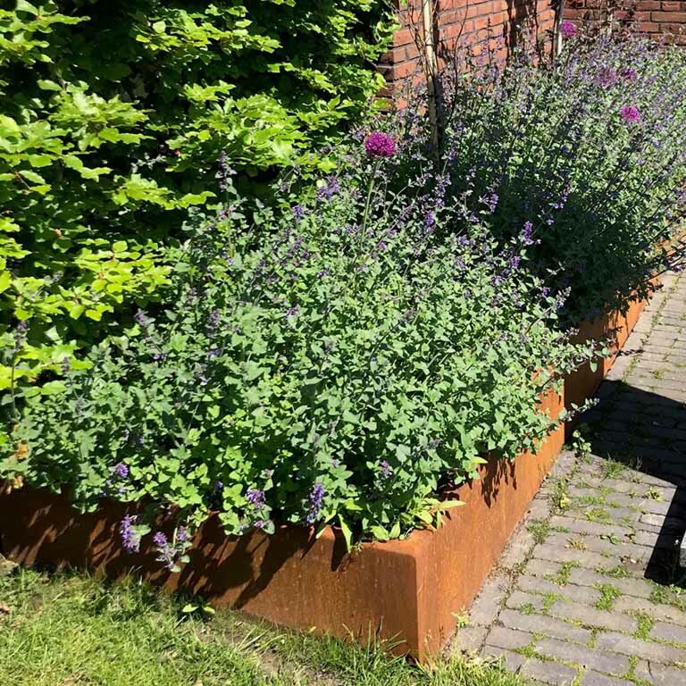Corten-teräksinen tukimuuri suora 100 cm (korkeus 50 cm)