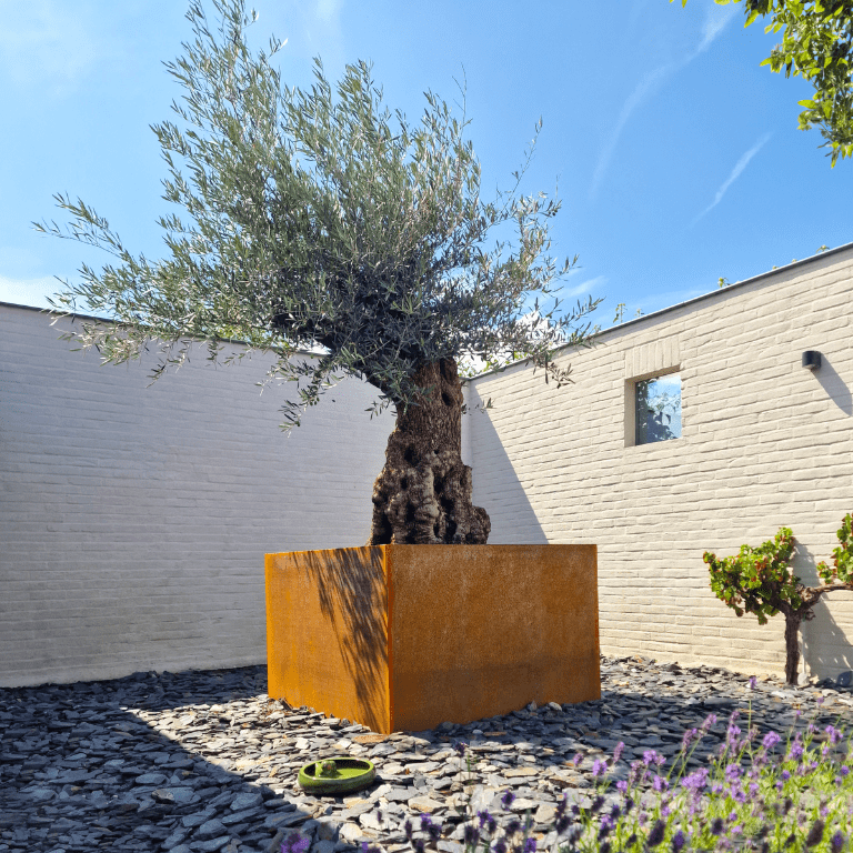 Corten-teräksinen hitsatut istutuslaatikko Montana 140 x 140 x 80 cm