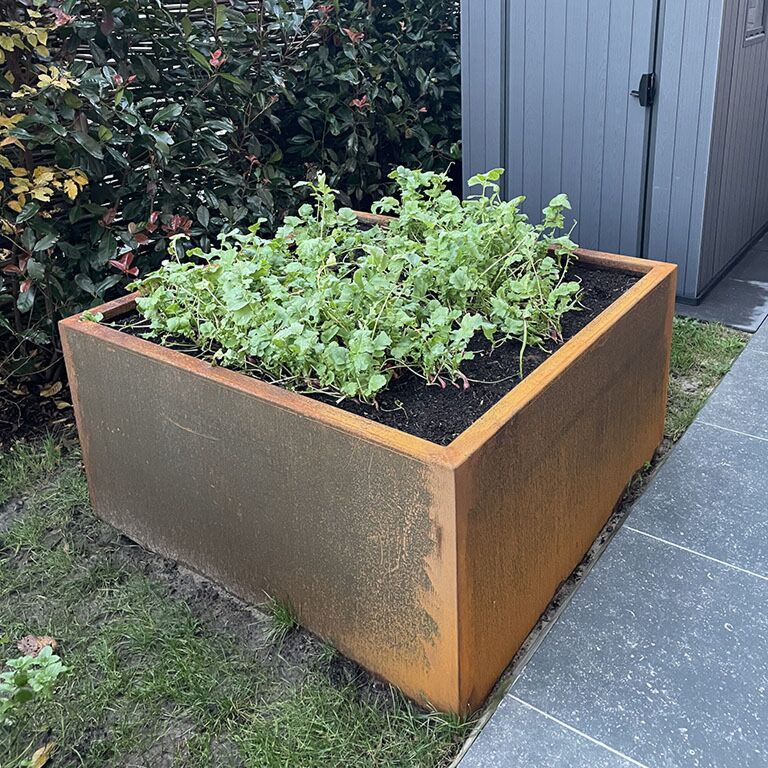 Corten-teräksinen hitsatut istutuslaatikko Montana 120 x 120 x 60 cm
