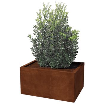 Cortenteräksinen Kukkalaatikko Texas 60 x 80 cm