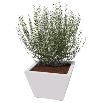 Teräksinen istutuslaatikko - Kartionmuotoiset - 60 x 60 x 41,5 cm - Hitsattu - Muu RAL-väri - Pohjalevyllä