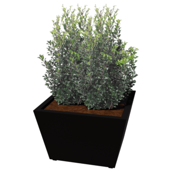 Teräksinen istutuslaatikko - Kartionmuotoiset - 80 x 80 x 51,5 cm - Hitsattu - Muu RAL-väri - Pohjalevyllä