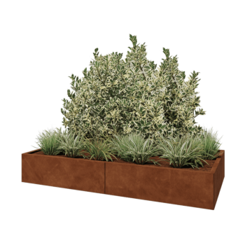 Corten-teräksinen istutuslaatikko XXL - Suorakaiteen muotoiset - 200 x 100 x 30 cm - Ilman pohjalevyä