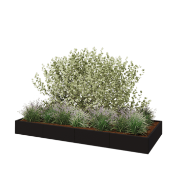 Teräksinen istutuslaatikko XXL - Suorakaiteen muotoiset - 320 x 120 x 30 cm - RAL9005 matta (musta) - Ilman pohjalevyä