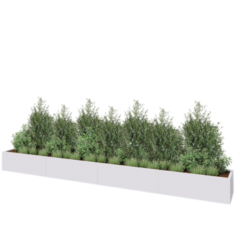 Teräksinen istutuslaatikko XXL - Suorakaiteen muotoiset - 480 x 50 x 40 cm - RAL9010 matta (valkoinen) - Ilman pohjalevyä