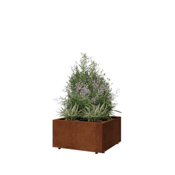 Corten-teräksinen istutuslaatikko - Neliönmuotoiset - 60 x 60 x 30 cm - Pohjalevyllä - Jaloilla
