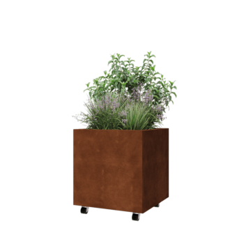 Corten-teräksinen istutuslaatikko - Neliönmuotoiset - 60 x 60 x 60 cm - Pohjalevyllä - Pyörillä