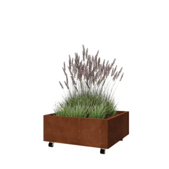 Corten-teräksinen istutuslaatikko - Neliönmuotoiset - 80 x 80 x 30 cm - Pohjalevyllä - Pyörillä