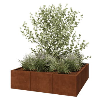 Corten-teräksinen istutuslaatikko XXL - Neliönmuotoiset - 150 x 150 x 40 cm - Ilman pohjalevyä