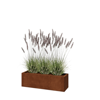 Corten-teräksinen istutuslaatikko - Suorakaiteen muotoiset - 100 x 30 x 30 cm - Ilman pohjalevyä