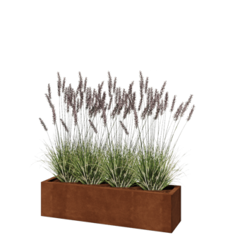 Corten-teräksinen istutuslaatikko - Suorakaiteen muotoiset - 120 x 30 x 30 cm - Ilman pohjalevyä