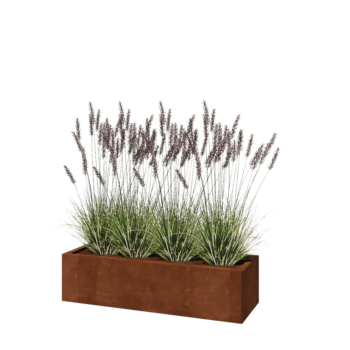 Corten-teräksinen istutuslaatikko - Suorakaiteen muotoiset - 120 x 40 x 30 cm - Ilman pohjalevyä