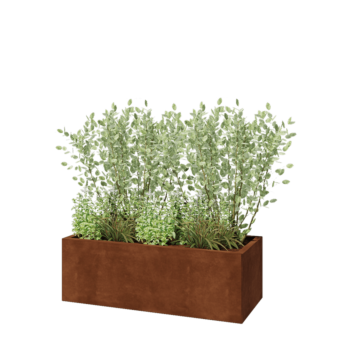 Corten-teräksinen istutuslaatikko - Suorakaiteen muotoiset - 120 x 50 x 40 cm - Pohjalevyllä