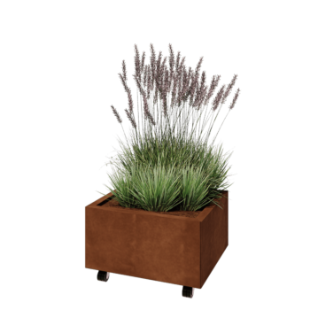 Corten-teräksinen istutuslaatikko - Suorakaiteen muotoiset - 60 x 50 x 30 cm - Pohjalevyllä - Pyörillä