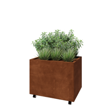 Corten-teräksinen istutuslaatikko - Suorakaiteen muotoiset - 80 x 60 x 60 cm - Pohjalevyllä - Pyörillä