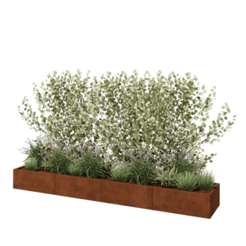 Corten-teräksinen istutuslaatikko XXL - Suorakaiteen muotoiset - 320 x 50 x 30 cm - Ilman pohjalevyä