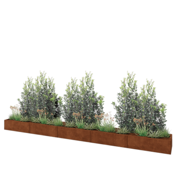 Corten-teräksinen istutuslaatikko XXL - Suorakaiteen muotoiset - 500 x 50 x 30 cm - Pohjalevyllä