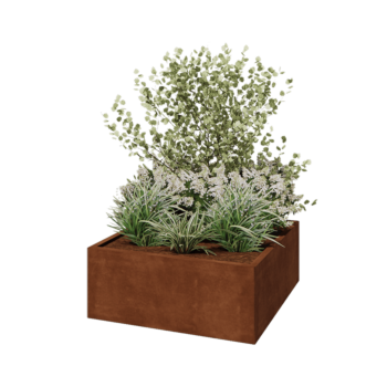 Corten-teräksinen istutuslaatikko - Neliönmuotoiset - 100 x 100 x 40 cm - Ilman pohjalevyä