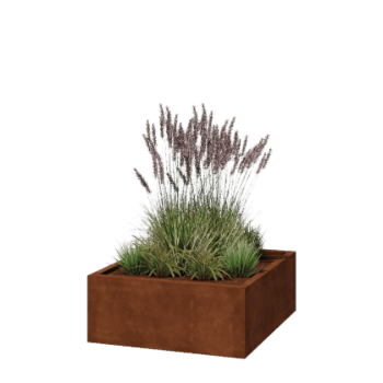 Corten-teräksinen istutuslaatikko - Neliönmuotoiset - 100 x 100 x 40 cm - Hitsattu - Ilman pohjalevyä