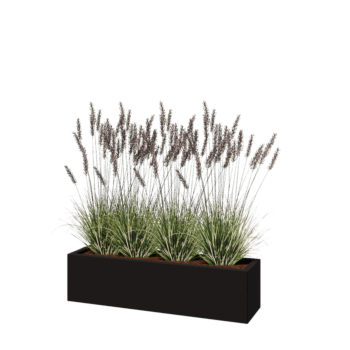 Teräksinen istutuslaatikko - Suorakaiteen muotoiset - 120 x 30 x 30 cm - RAL9005 matta (musta) - Ilman pohjalevyä