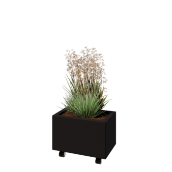 Teräksinen istutuslaatikko - Suorakaiteen muotoiset - 50 x 30 x 30 cm - RAL9005 matta (musta) - Pohjalevyllä - Pyörillä