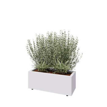 Teräksinen istutuslaatikko - Suorakaiteen muotoiset - 80 x 30 x 30 cm - RAL9010 matta (valkoinen) - Pohjalevyllä - Jaloilla