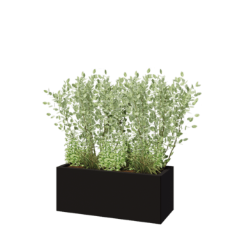 Teräksinen istutuslaatikko - Suorakaiteen muotoiset - 100 x 40 x 40 cm - RAL9005 matta (musta) - Pohjalevyllä