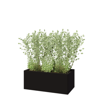 Teräksinen istutuslaatikko - Suorakaiteen muotoiset - 100 x 50 x 40 cm - RAL9005 matta (musta) - Pohjalevyllä