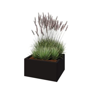 Teräksinen istutuslaatikko - Suorakaiteen muotoiset - 60 x 50 x 30 cm - RAL9005 matta (musta) - Ilman pohjalevyä