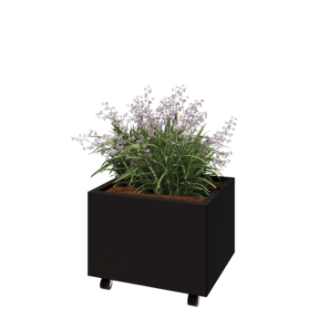 Teräksinen istutuslaatikko - Suorakaiteen muotoiset - 60 x 50 x 40 cm - RAL9005 matta (musta) - Pohjalevyllä - Pyörillä