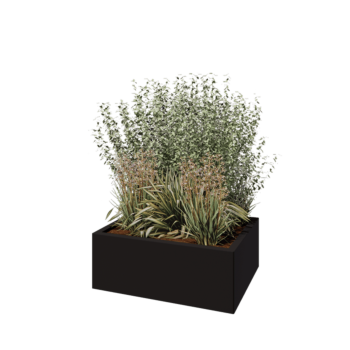 Teräksinen istutuslaatikko - Suorakaiteen muotoiset - 80 x 60 x 30 cm - RAL9005 matta (musta) - Ilman pohjalevyä