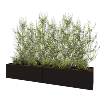Teräksinen istutuslaatikko XXL - Suorakaiteen muotoiset - 240 x 50 x 40 cm - RAL9005 matta (musta) - Pohjalevyllä