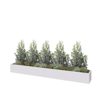 Teräksinen istutuslaatikko XXL - Suorakaiteen muotoiset - 400 x 50 x 40 cm - RAL9010 matta (valkoinen) - Pohjalevyllä