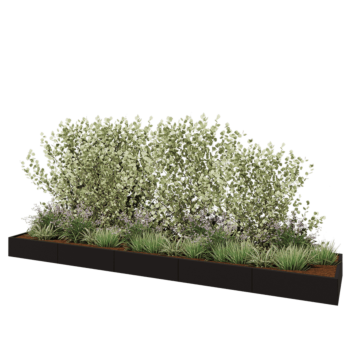 Teräksinen istutuslaatikko XXL - Suorakaiteen muotoiset - 500 x 100 x 30 cm - RAL9005 matta (musta) - Pohjalevyllä