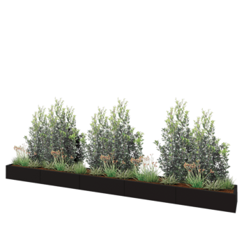 Teräksinen istutuslaatikko XXL - Suorakaiteen muotoiset - 500 x 50 x 30 cm - RAL9005 matta (musta) - Ilman pohjalevyä