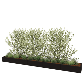 Teräksinen istutuslaatikko XXL - Suorakaiteen muotoiset - 500 x 60 x 30 cm - RAL9005 matta (musta) - Ilman pohjalevyä