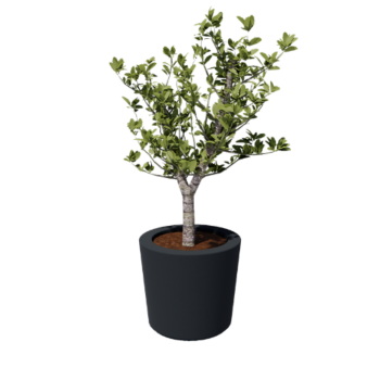 Lasikuituruukku - Kartionmuotoinen - Ø 63 x 52 cm - RAL7021 matta (musta harmaa) - Pohjallinen