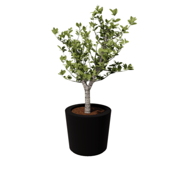 Lasikuituruukku - Kartionmuotoinen - Ø 63 x 52 cm - RAL9005 matta (musta) - Pohjallinen