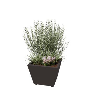 Teräksinen istutuslaatikko - Kartionmuotoiset - 60 x 60 x 41,5 cm - Hitsattu - RAL7016 matta (antrasiitinharmaa) - Pohjalevyllä