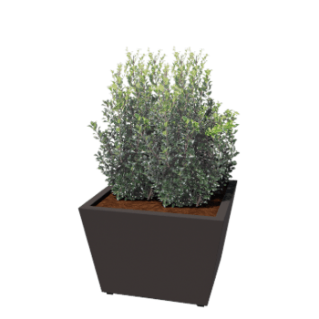 Teräksinen istutuslaatikko - Kartionmuotoiset - 80 x 80 x 51,5 cm - Hitsattu - RAL7016 matta (antrasiitinharmaa) - Pohjalevyllä