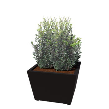 Teräksinen istutuslaatikko - Kartionmuotoiset - 80 x 80 x 51,5 cm - Hitsattu - RAL9005 matta (musta) - Pohjalevyllä