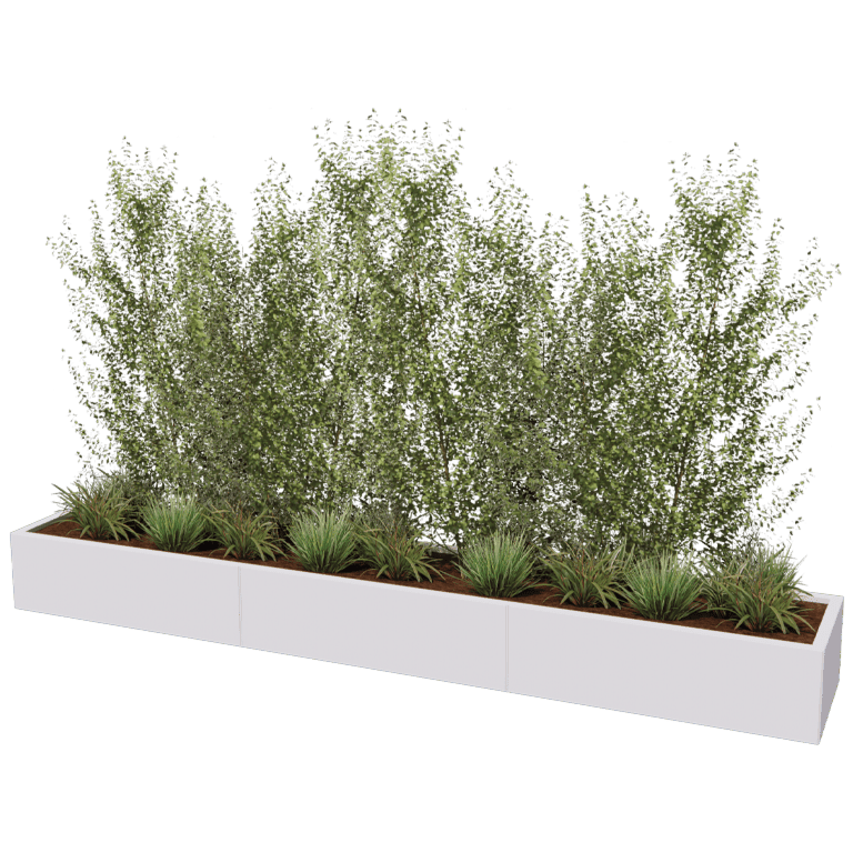 Jauhemaalipinnoitettu teräksinen istutuslaatikko Texas xxl 300 x 50 cm