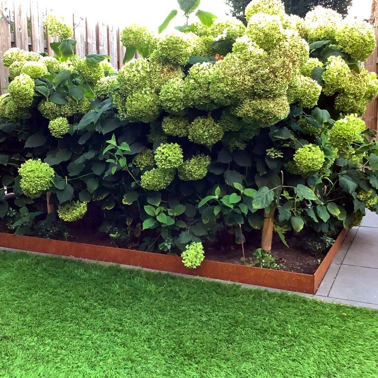 Corten-teräksinen puutarha reunus litteä 13 cm (pituus 150 cm)