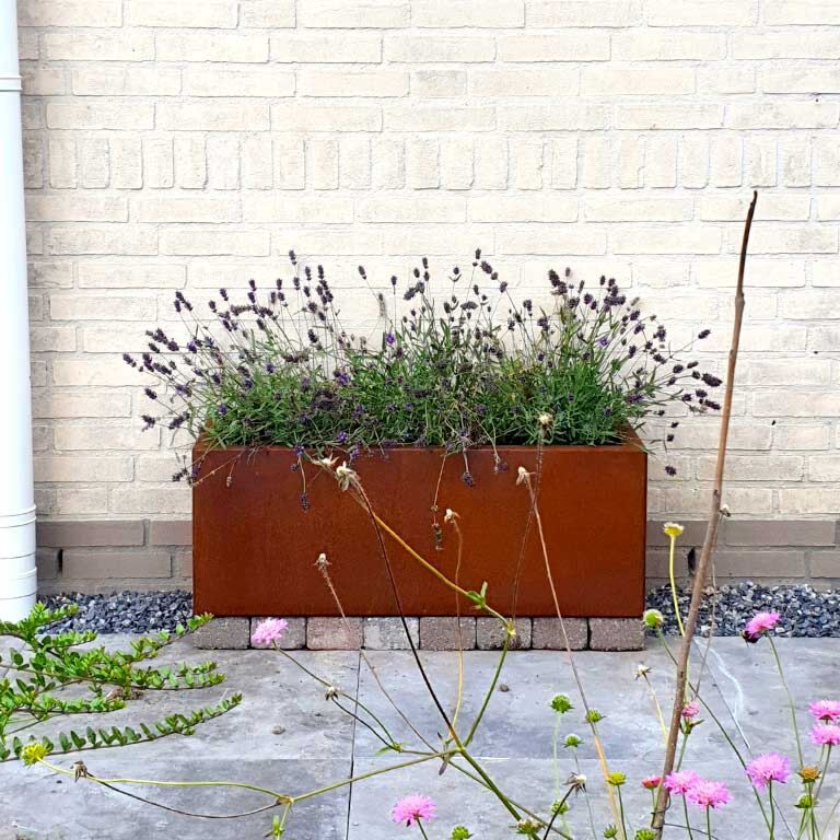 Cortenteräksinen Kukkalaatikko Texas 30 x 80 cm
