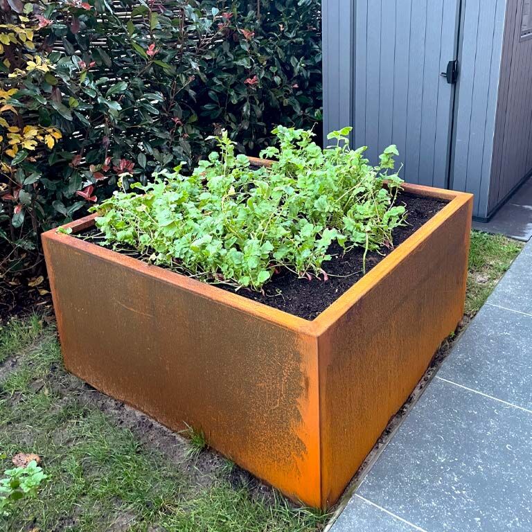 Corten-teräksinen hitsatut istutuslaatikko Montana 120 x 120 x 60 cm