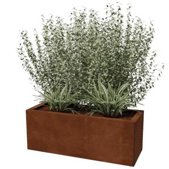 Corten-teräksinen istutuslaatikko - Suorakaiteen muotoiset - 30 x 80 cm