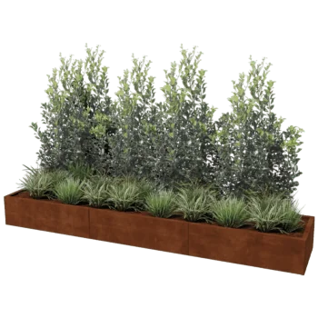 Corten-teräksinen istutuslaatikko XXL - Suorakaiteen muotoiset - 300 x 60 cm
