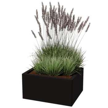 Teräksinen istutuslaatikko - Suorakaiteen muotoiset - 50 x 60 cm