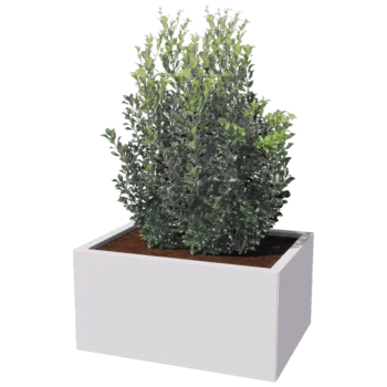 Teräksinen istutuslaatikko - Suorakaiteen muotoiset - 60 x 80 cm